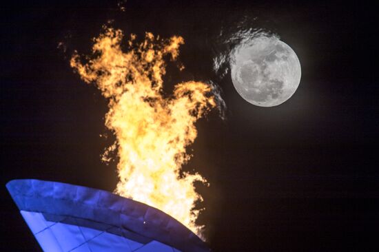 2014 Winter Olympics. Olympic Park in Sochi