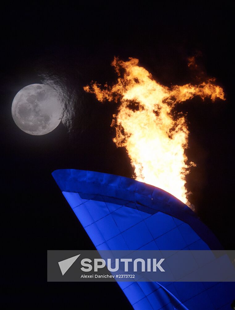 2014 Winter Olympics. Olympic Park in Sochi