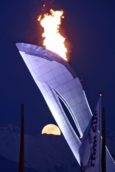 2014 Winter Olympics. Olympic Park in Sochi