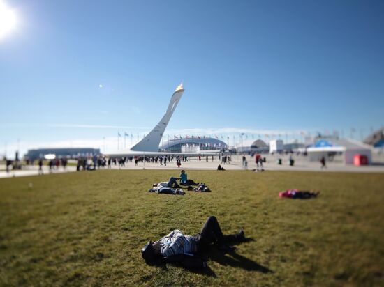 Olympic Sochi