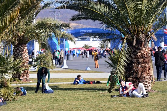 Olympic Sochi