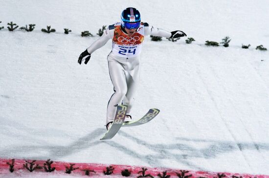 2014 Winter Olympics. Ski jumping. Men. Large hill. Finals