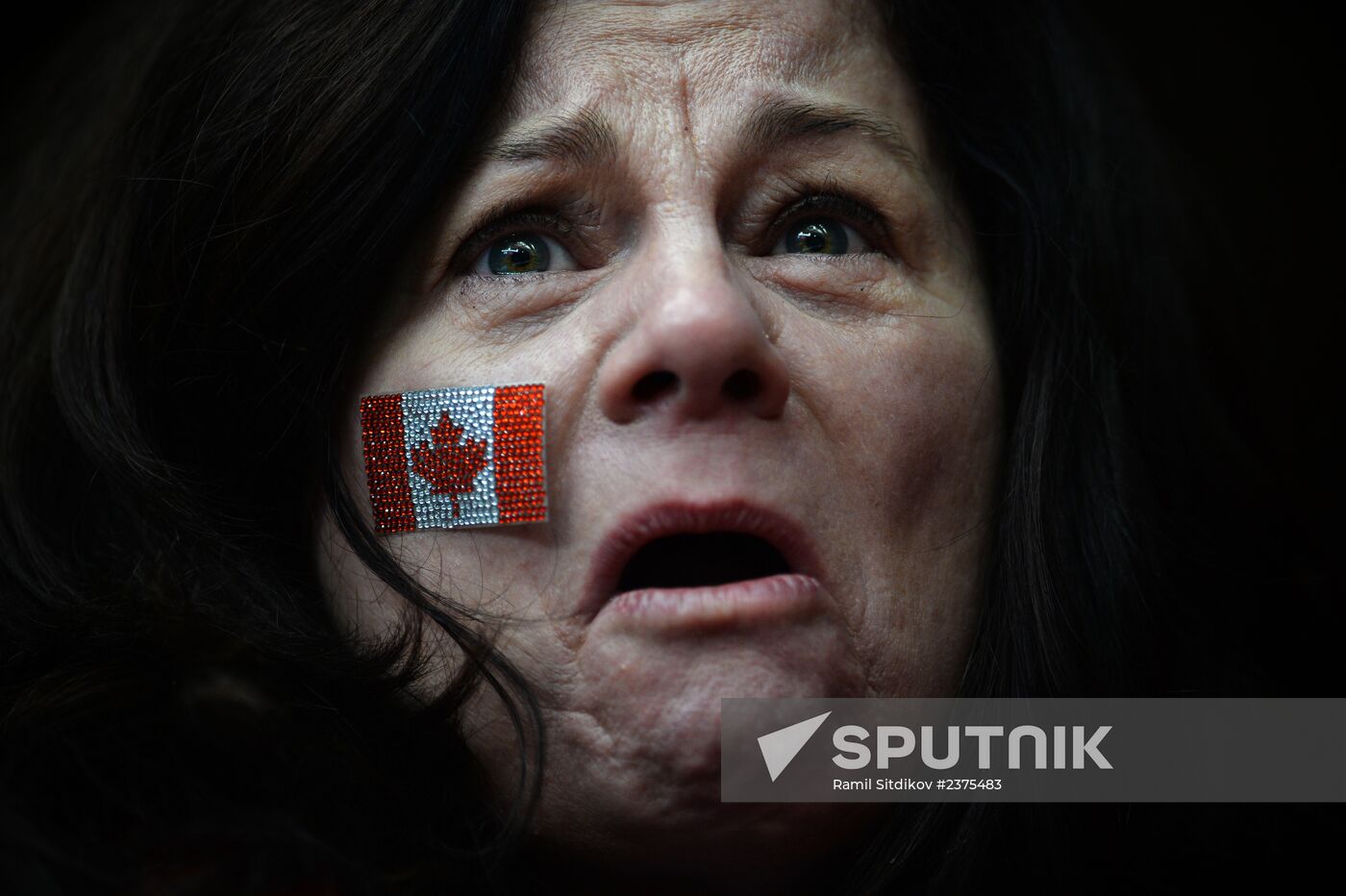 2014 Winter Olympics. Fans