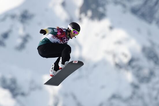 2014 Winter Olympics. Alpine skiing. Men. Super giant slalom