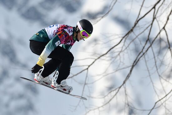 2014 Winter Olympics. Alpine skiing. Men. Super giant slalom