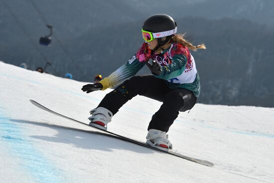 2014 Winter Olympics. Alpine skiing. Men. Super giant slalom
