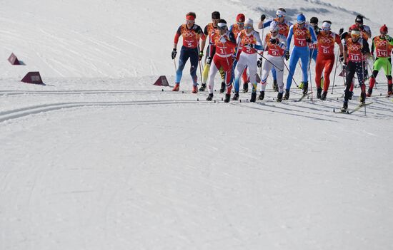 2014 Winter Olympics. Cross-country skiing. Men. Relay