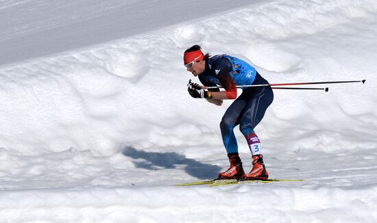 2014 Winter Olympics. Cross-country skiing. Men. Relay