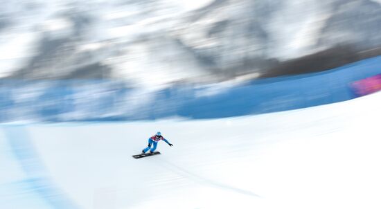 2014 Winter Olympics. Snowboarding. Women. Snowboard cross