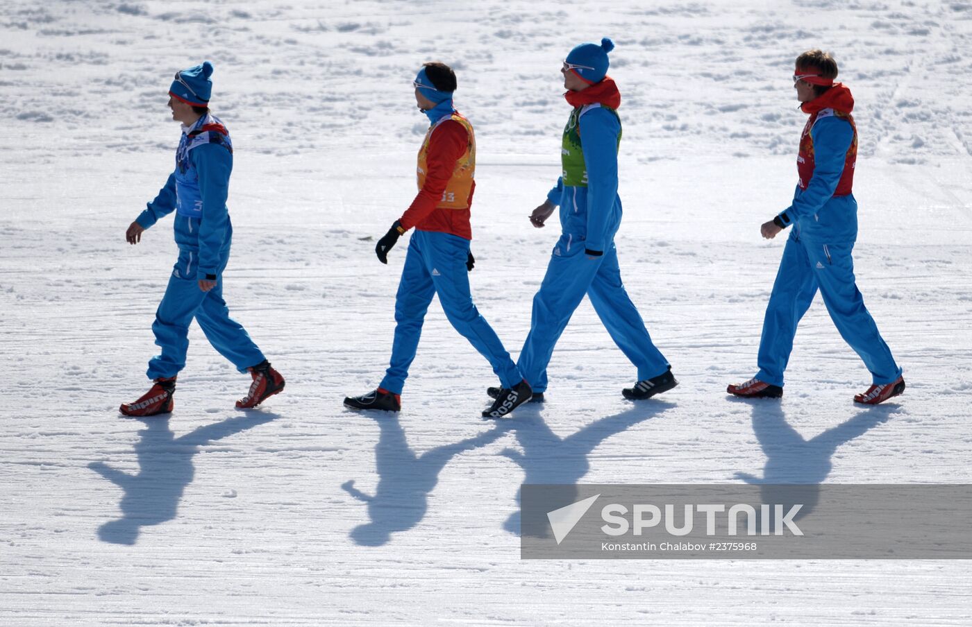 2014 Winter Olympics. Cross-country skiing. Men. Relay