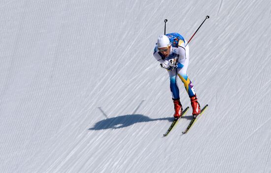 2014 Winter Olympics. Cross-country skiing. Men. Relay