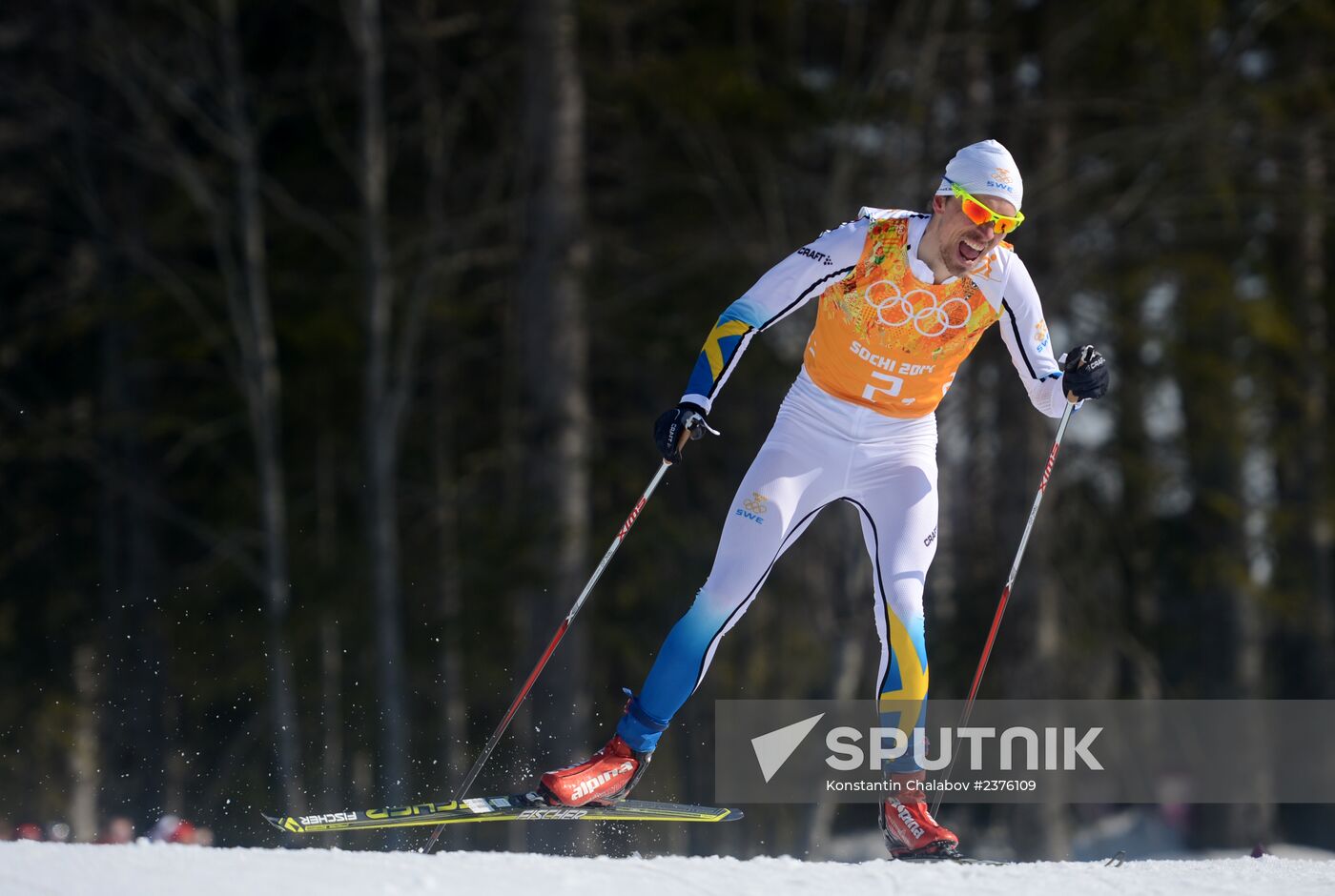2014 Winter Olympics. Cross-country skiing. Men. Relay