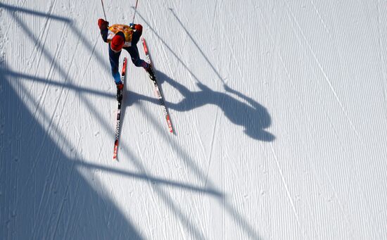 2014 Winter Olympics. Cross-country skiing. Men. Relay