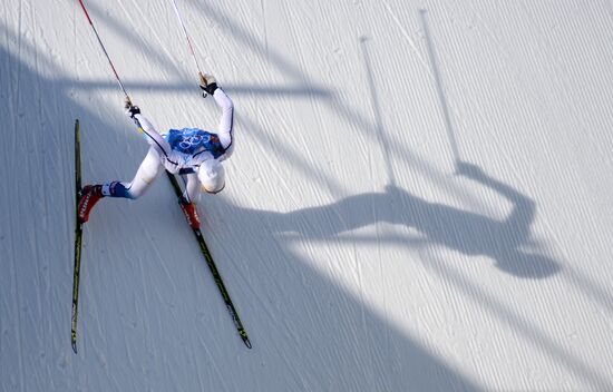 2014 Winter Olympics. Cross-country skiing. Men. Relay