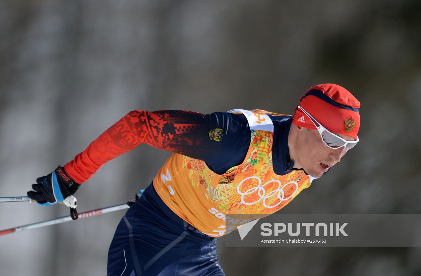 2014 Winter Olympics. Cross-country skiing. Men. Relay