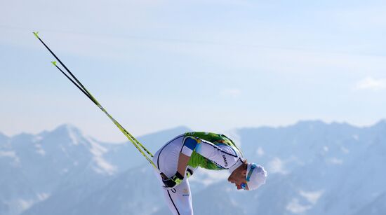 2014 Winter Olympics. Cross-country skiing. Men. Relay