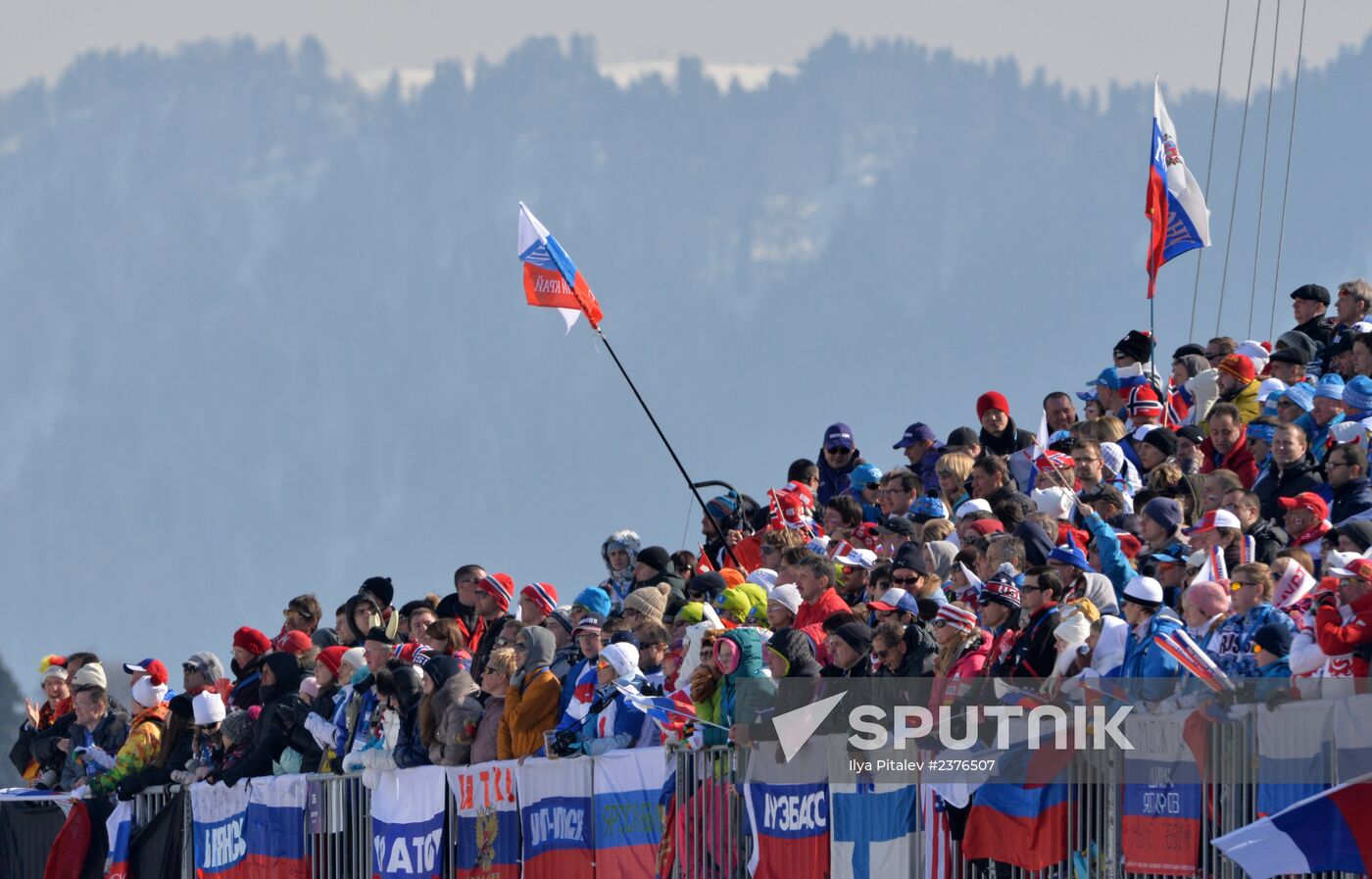 2014 Winter Olympics. Cross-country skiing. Men. Relay
