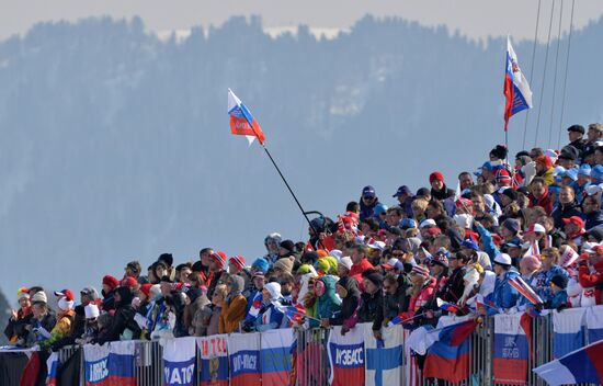 2014 Winter Olympics. Cross-country skiing. Men. Relay