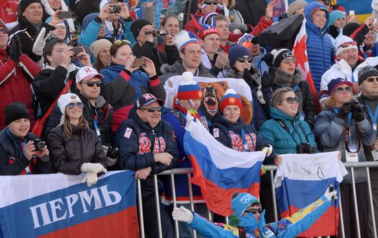 2014 Winter Olympics. Cross-country skiing. Men. Relay