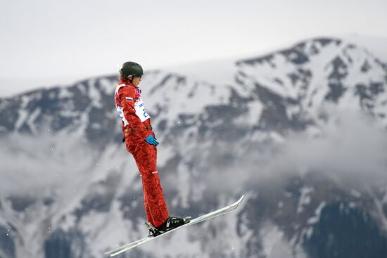 2014 Winter Olympics. Freestyle skiing. Men. Aerials