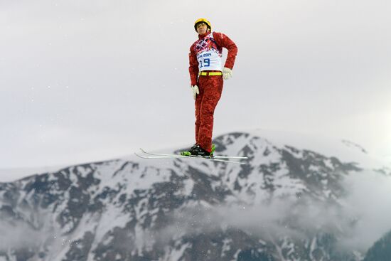 2014 Winter Olympics. Freestyle skiing. Men. Aerials