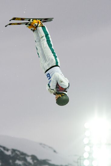2014 Winter Olympics. Freestyle skiing. Men. Aerials