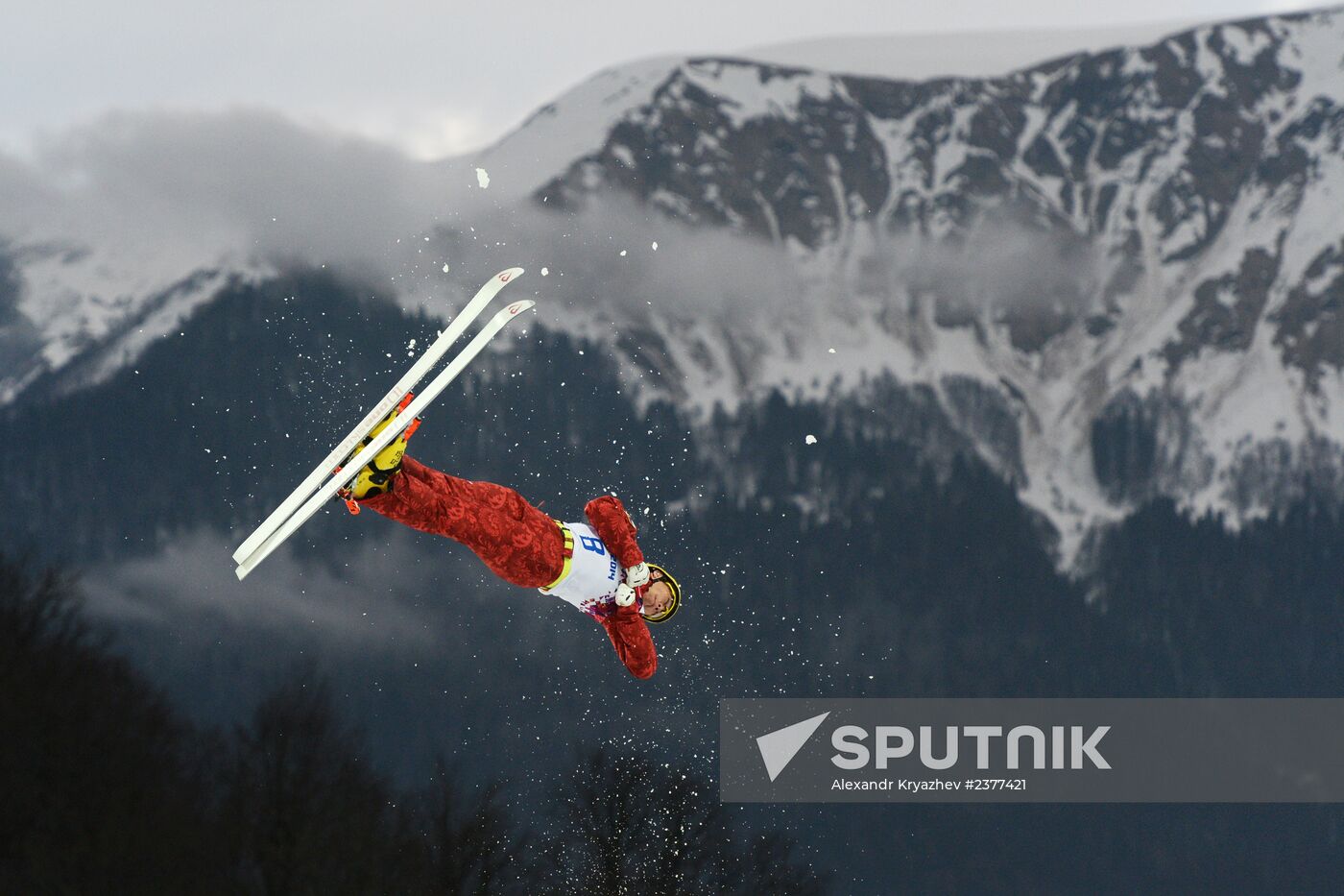 2014 Winter Olympics. Freestyle skiing. Men. Aerials