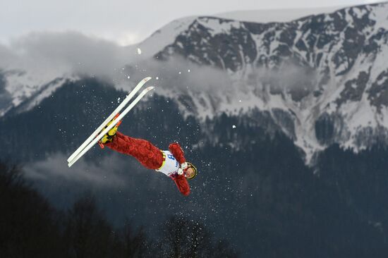 2014 Winter Olympics. Freestyle skiing. Men. Aerials