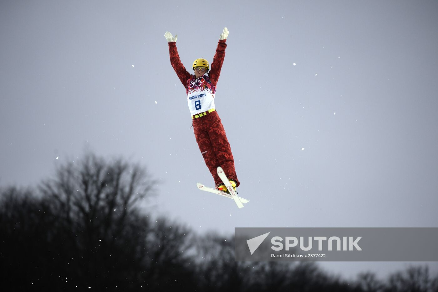 2014 Winter Olympics. Freestyle skiing. Men. Aerials
