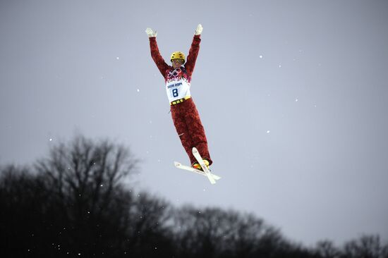 2014 Winter Olympics. Freestyle skiing. Men. Aerials