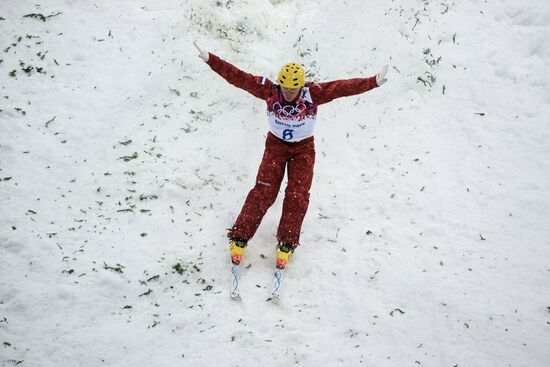 2014 Winter Olympics. Freestyle skiing. Men. Aerials