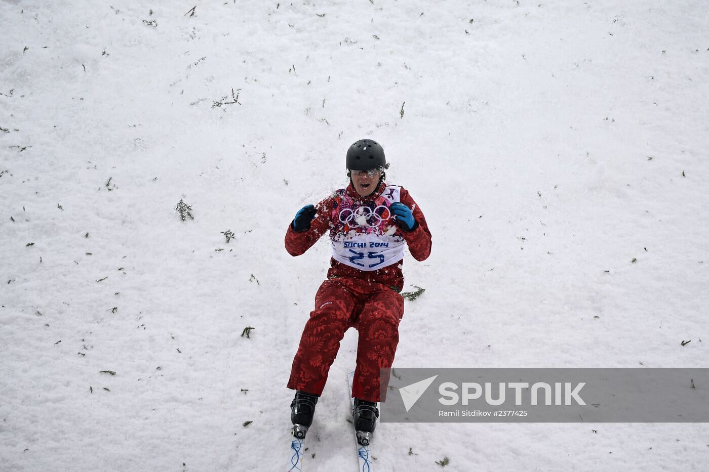 2014 Winter Olympics. Freestyle skiing. Men. Aerials