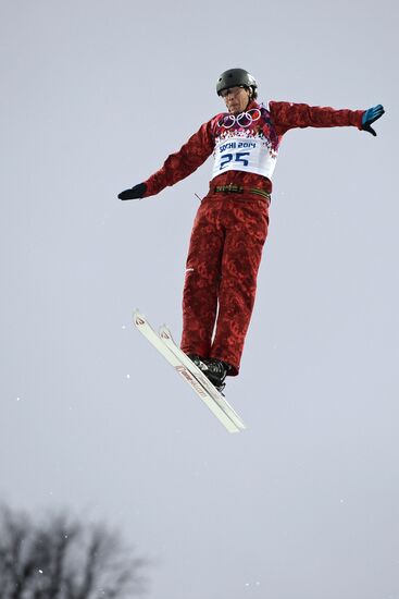 2014 Winter Olympics. Freestyle skiing. Men. Aerials