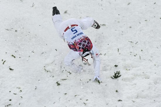 2014 Winter Olympics. Freestyle skiing. Men. Aerials