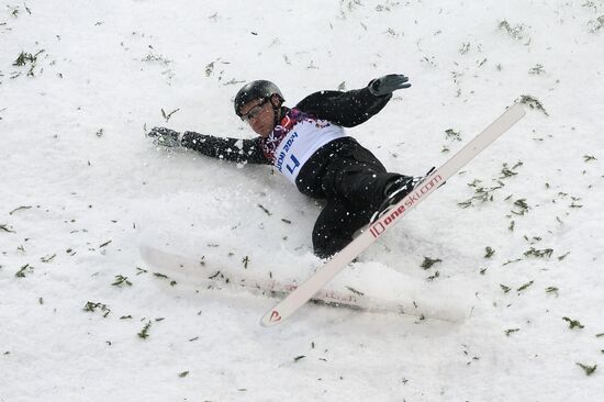 2014 Winter Olympics. Freestyle skiing. Men. Aerials