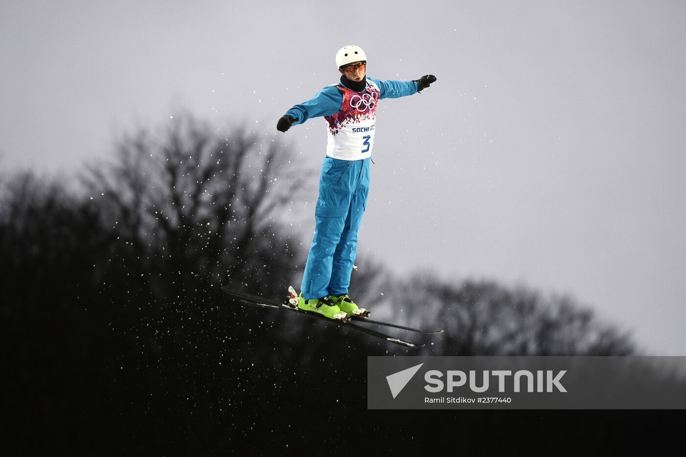 2014 Winter Olympics. Freestyle skiing. Men. Aerials