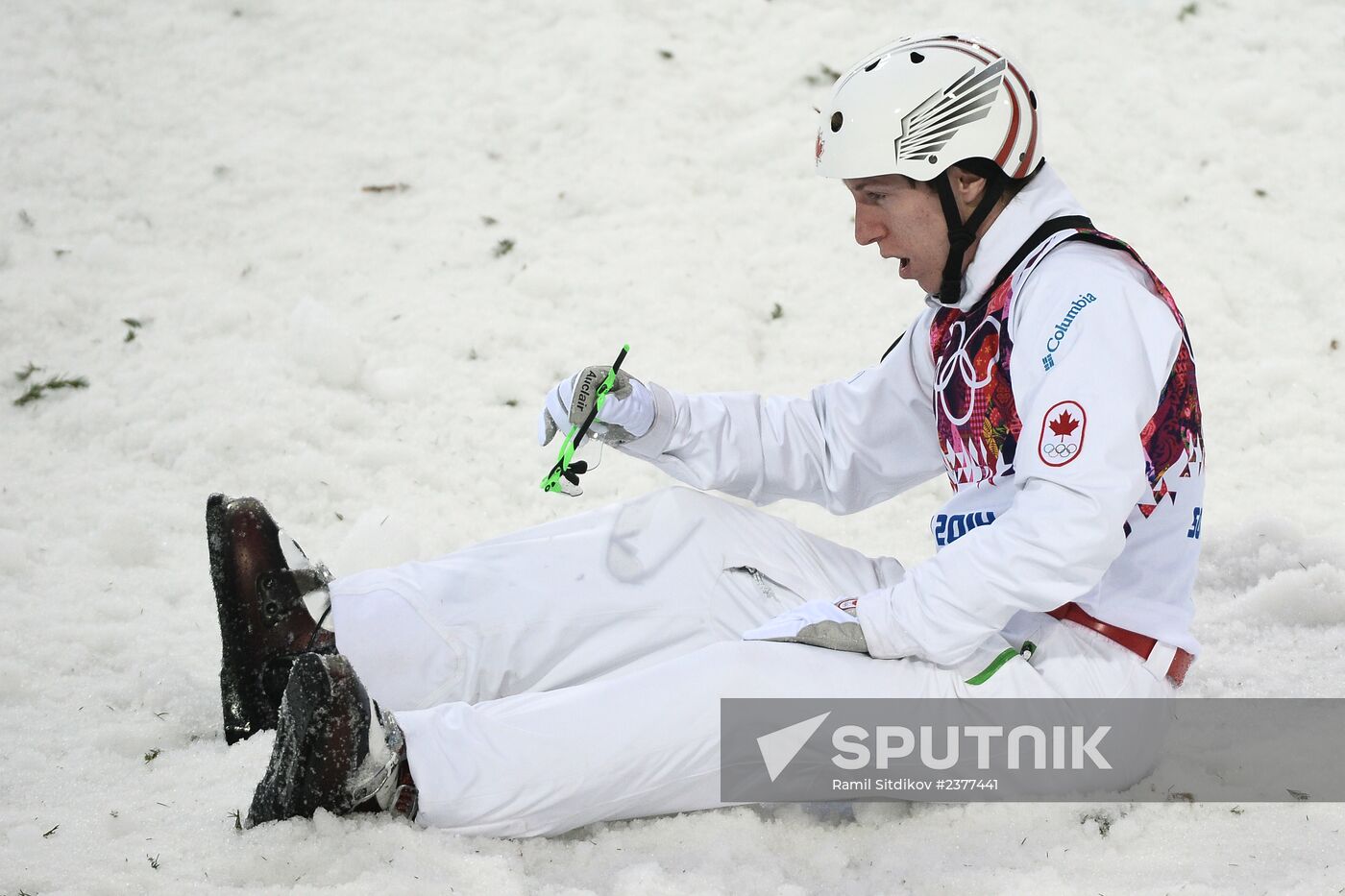 2014 Winter Olympics. Freestyle skiing. Men. Aerials