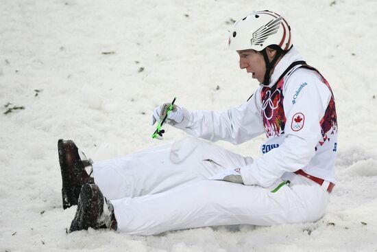 2014 Winter Olympics. Freestyle skiing. Men. Aerials