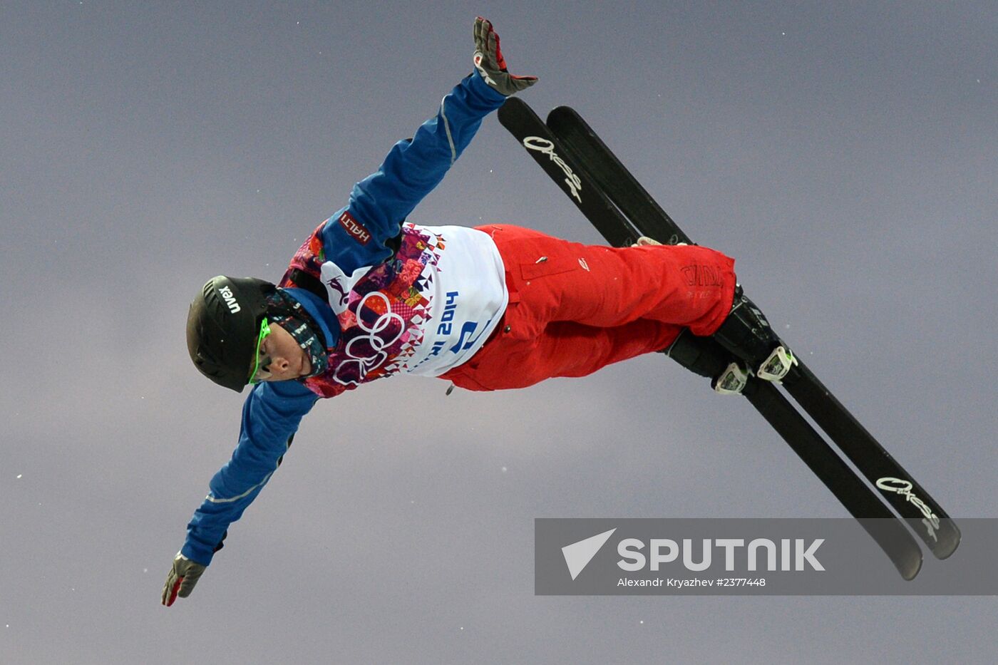 2014 Winter Olympics. Freestyle skiing. Men. Aerials