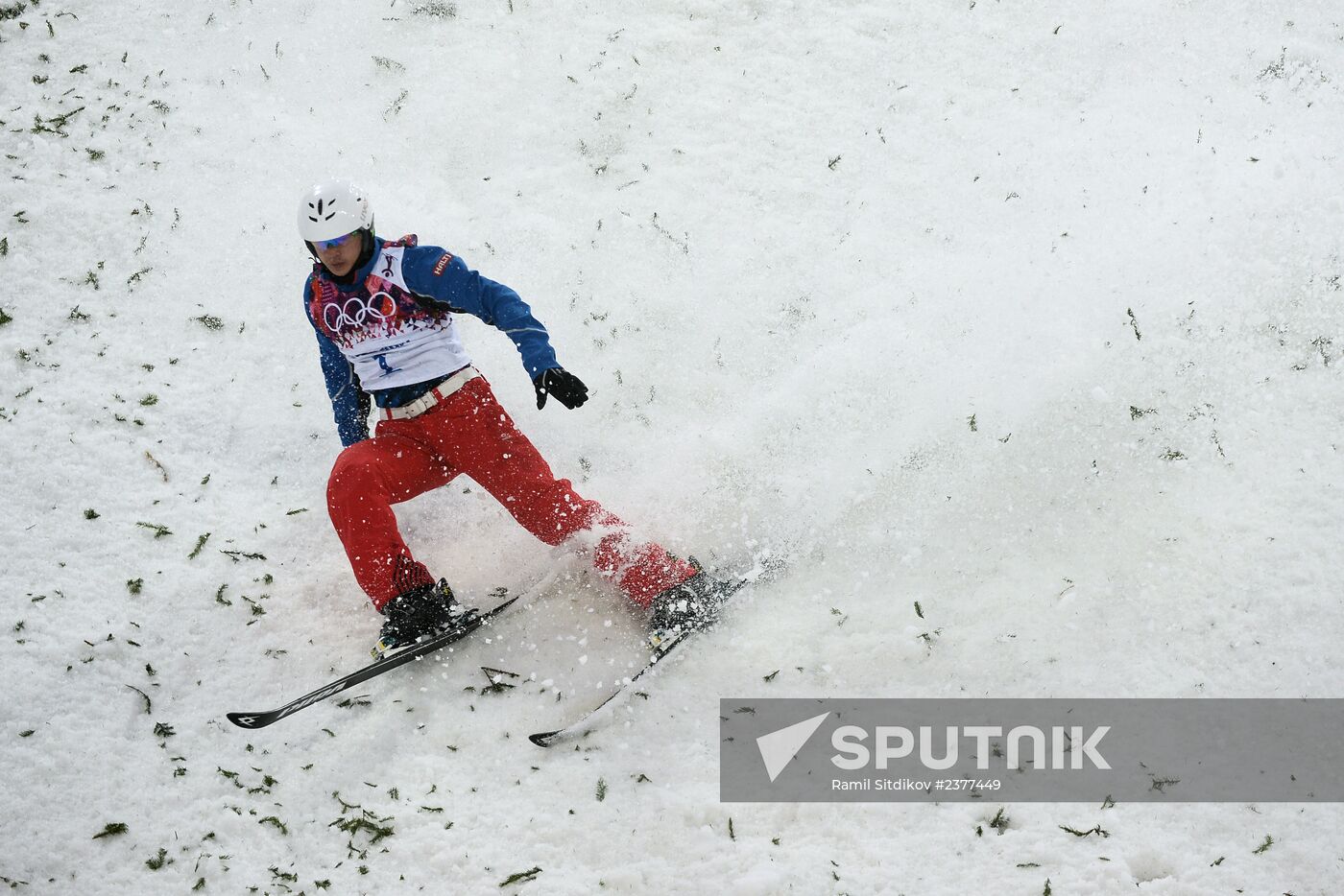 2014 Winter Olympics. Freestyle skiing. Men. Aerials