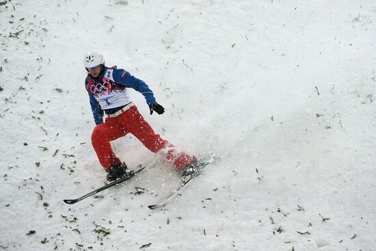 2014 Winter Olympics. Freestyle skiing. Men. Aerials