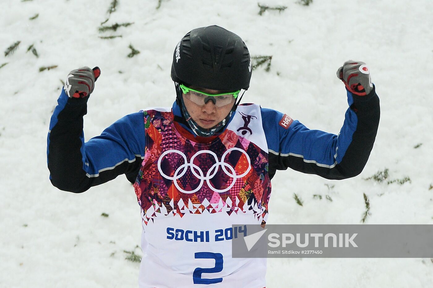 2014 Winter Olympics. Freestyle skiing. Men. Aerials