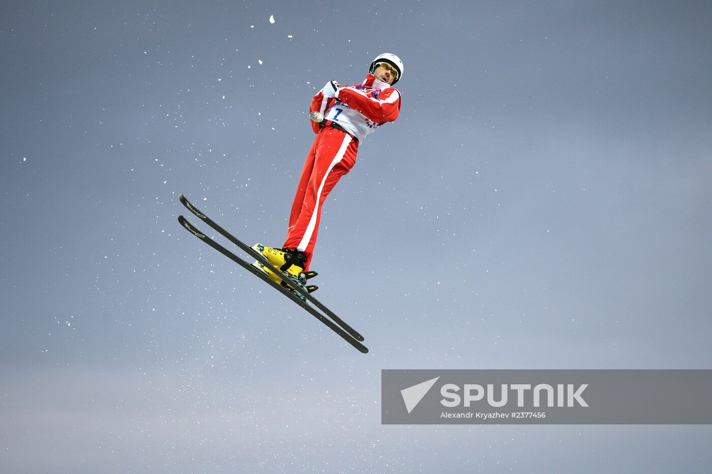 2014 Winter Olympics. Freestyle skiing. Men. Aerials