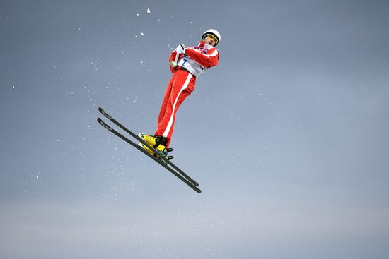 2014 Winter Olympics. Freestyle skiing. Men. Aerials