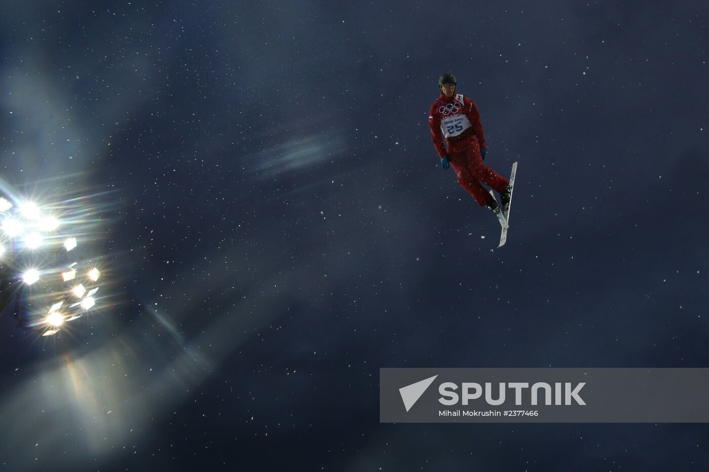 2014 Winter Olympics. Freestyle skiing. Men. Aerials