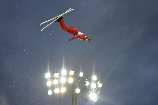 2014 Winter Olympics. Freestyle skiing. Men. Aerials