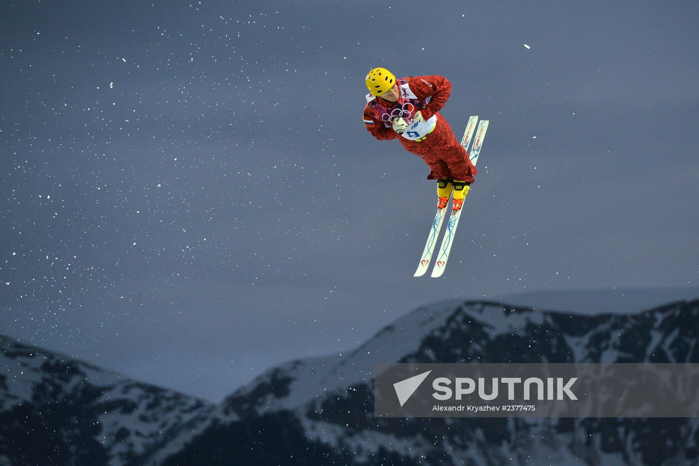 2014 Winter Olympics. Freestyle skiing. Men. Aerials