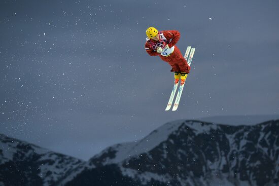 2014 Winter Olympics. Freestyle skiing. Men. Aerials