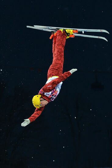 2014 Winter Olympics. Freestyle skiing. Men. Aerials