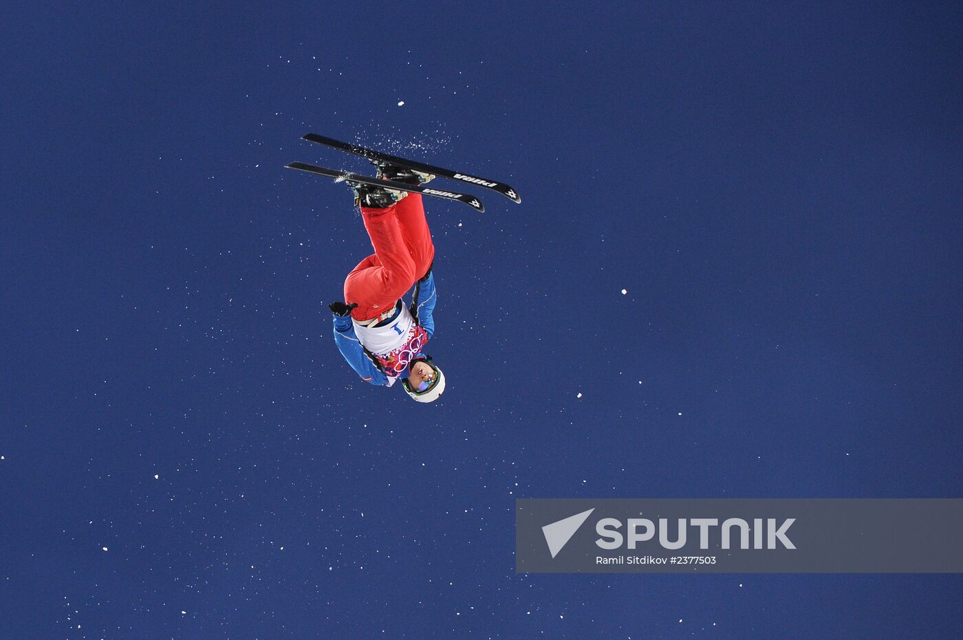 2014 Winter Olympics. Freestyle skiing. Men. Aerials